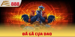 AE888 Ufa1688 - Trang Chủ AE888 Đá Gà Tổng Chính Thức 2026 - WINQUARTZ88.BIZ
