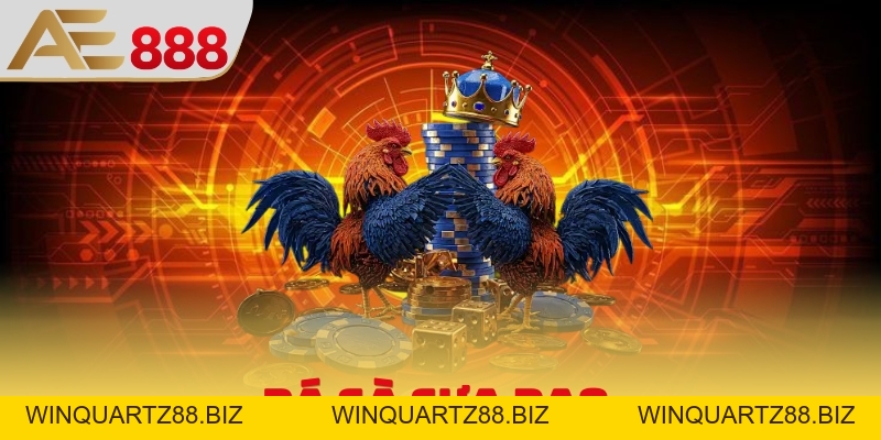 Đá Gà Cựa Dao - Hình Thức Giải Trí Cuồng Nhiệt, Đẳng Cấp - WINQUARTZ88.BIZ