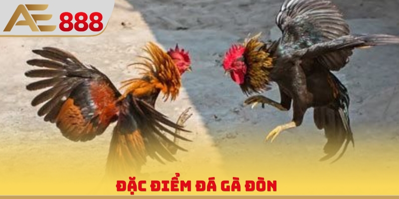 Đá Gà Đòn - Hình Thức Thi Đấu Chân Không Cuồng Nhiệt - WINQUARTZ88.BIZ