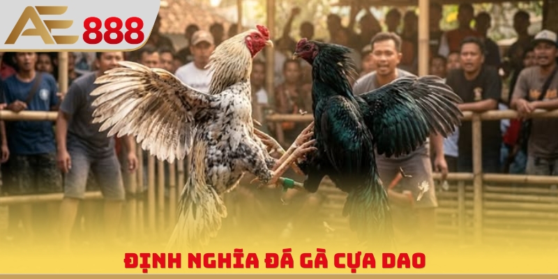 Đá Gà Cựa Dao - Hình Thức Giải Trí Cuồng Nhiệt, Đẳng Cấp - WINQUARTZ88.BIZ