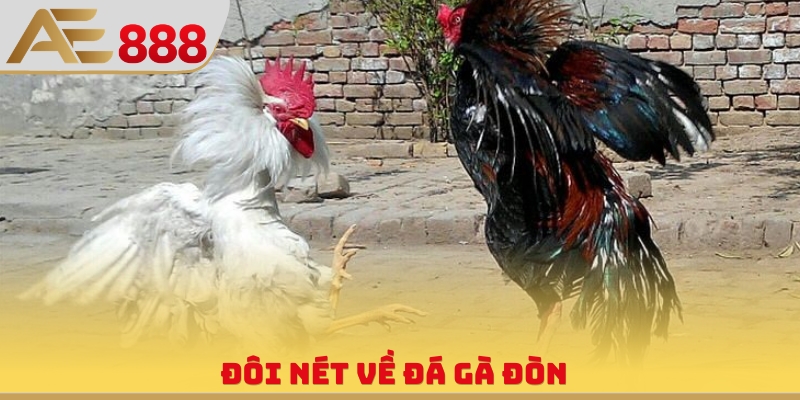 Đá Gà Đòn - Hình Thức Thi Đấu Chân Không Cuồng Nhiệt - WINQUARTZ88.BIZ