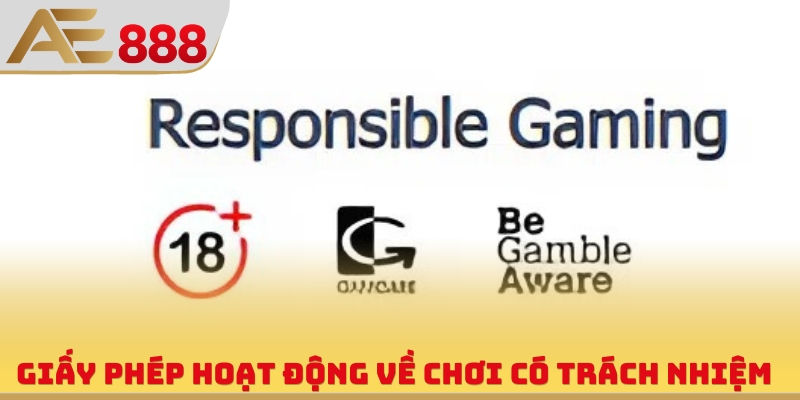 Giấy Phép Hoạt Động AE888 | Chứng Nhận Nhà Cái Sở Hữu - WINQUARTZ88.BIZ