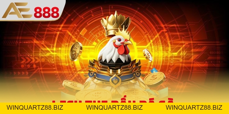 Lịch Thi Đấu Đá Gà - Xem Thời Điểm Chiến Kê Đụng Độ Cực Căng - WINQUARTZ88.BIZ