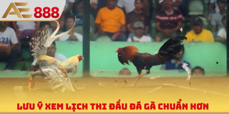 Lịch Thi Đấu Đá Gà - Xem Thời Điểm Chiến Kê Đụng Độ Cực Căng - WINQUARTZ88.BIZ