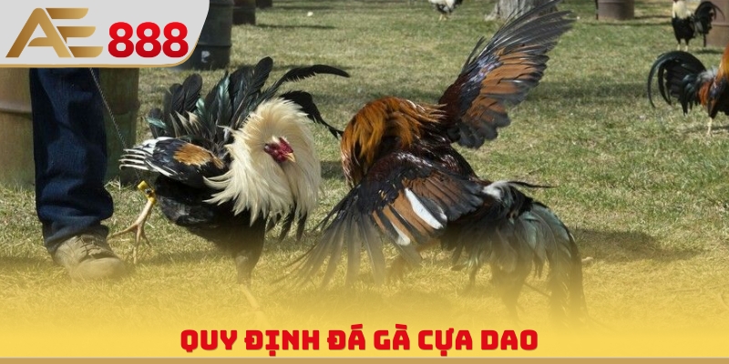 Đá Gà Cựa Dao - Hình Thức Giải Trí Cuồng Nhiệt, Đẳng Cấp - WINQUARTZ88.BIZ