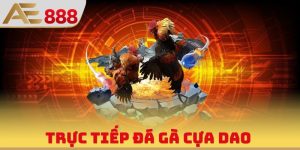 AE888 Ufa1688 - Trang Chủ AE888 Đá Gà Tổng Chính Thức 2026 - WINQUARTZ88.BIZ