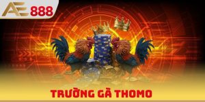 AE888 Ufa1688 - Trang Chủ AE888 Đá Gà Tổng Chính Thức 2026 - WINQUARTZ88.BIZ